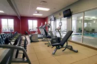 HIlton Garden Inn Detroit/Novi - Træningscentre