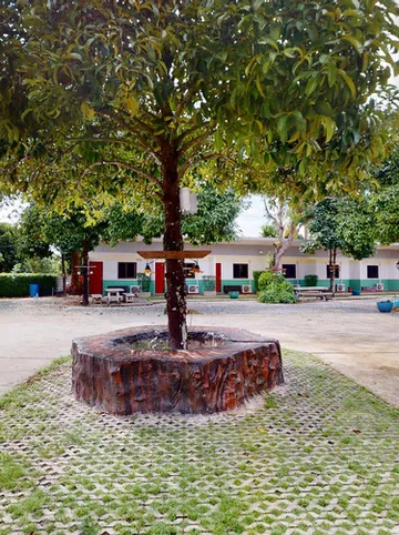 รูปภาพของแพรวดาว เขาคิชฌกูฏ