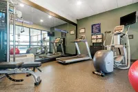 希爾頓歡朋酒店-里奇蒙 - 健身室/gym room