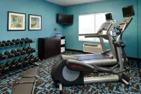 Fairfield Inn & Suites Frankenmuth - Gym