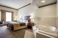 Comfort Inn & Suites FtJackson Maingate