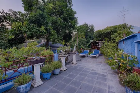 瑪塔哈里圖蘭本潛水水療度假村