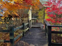 Gallery Hara and Guest House Hotels in Hara