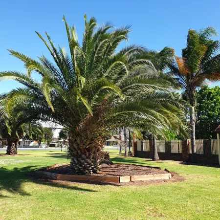 The Finley Palm Motor Inn