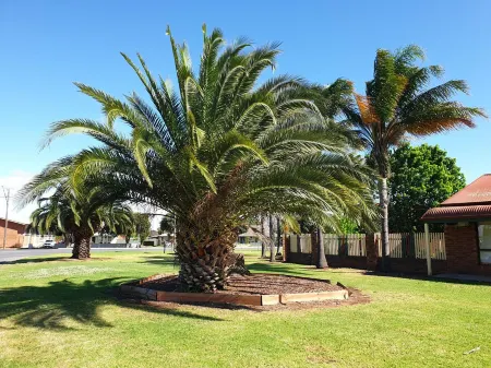 The Finley Palm Motor Inn