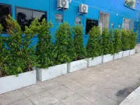 Chai Style Mansion Hotels in 