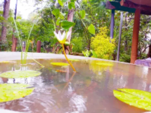 ウォーカーズ ネスト エッラのホテル