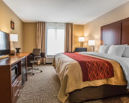 Comfort Inn PA Turnpike - I-81 Hoteles en Municipio de Middlesex