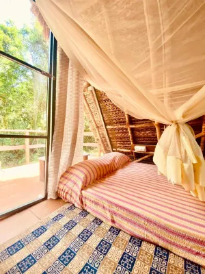 The Imagination Auroville