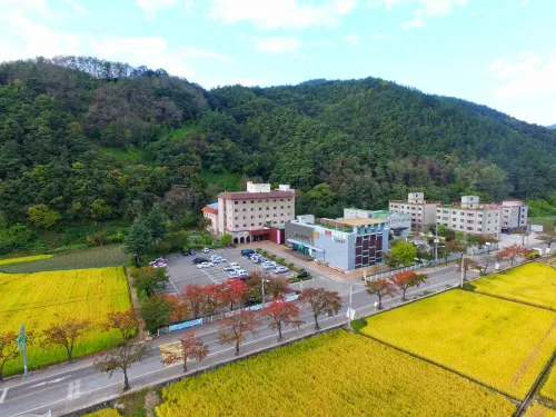 주왕산 온천관광호텔 청송군 호텔
