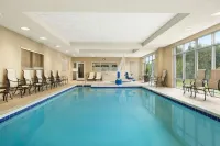 Hampton Inn & Suites Herndon-Reston - Wifi