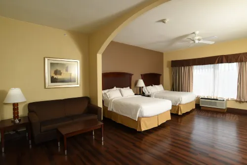 Holiday Inn Express & Suites SEGUIN by IHG Hotels in Seguin