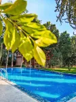 CHITWAN FOREST RESORT - สระว่ายน้ำแบบอินฟินิตี้