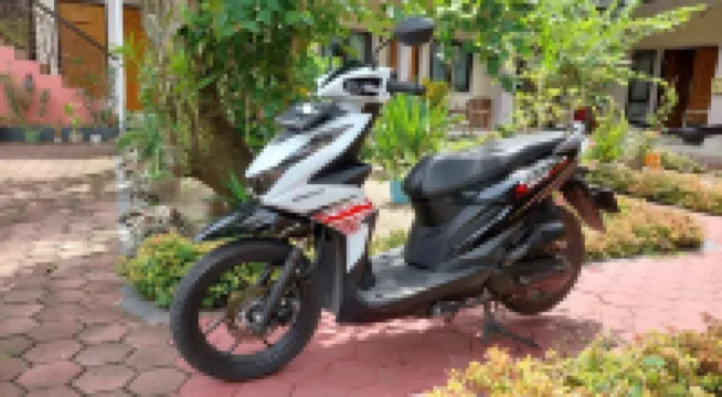 Whiterose Guesthouse