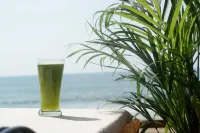 Agonda Sunset Beach Resort - Ocean View