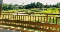 Castaway Hostel - Hosteller
