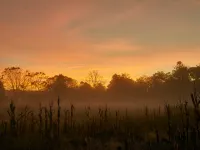 The Roundtree, Amagansett