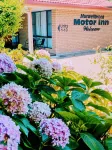 Muswellbrook Motor Inn Hotels in Muswellbrook