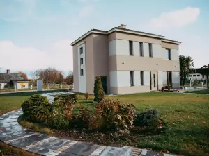 Rumido Suite