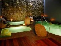 Hotel Bosque de Reñaca - ที่มีสปา