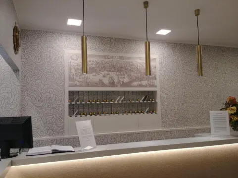 Hotel Vittoria Khu vực công cộng Photos