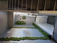 Luna Hotel Hotels in Orsk