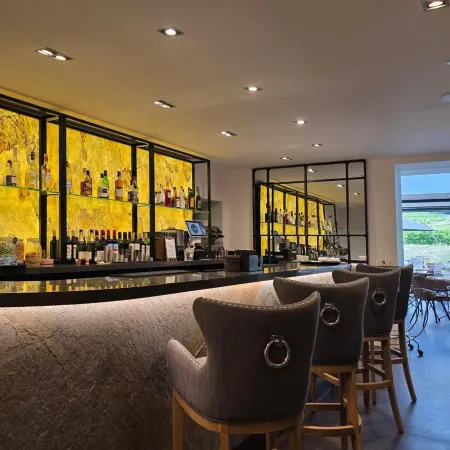 Denbies Vineyard Hotel