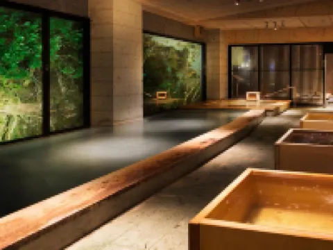 Shosuke-No-Yado Takinoyu Hotels in Aizuwakamatsu