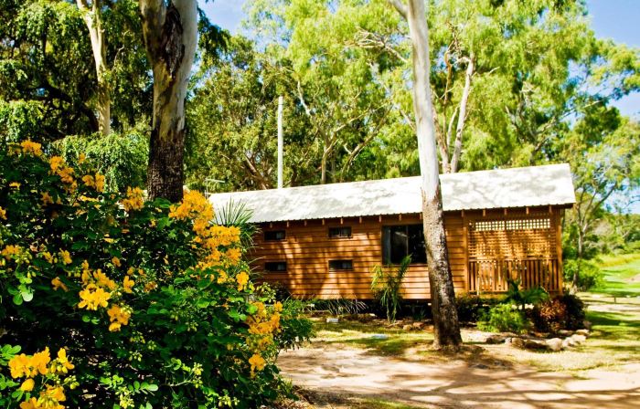 1770 Holiday Village