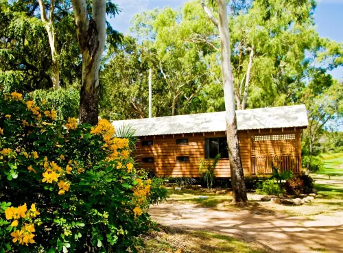 1770 Holiday Village - Wifi