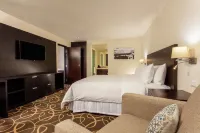 DoubleTree by Hilton Toluca Hotels near San Miguel