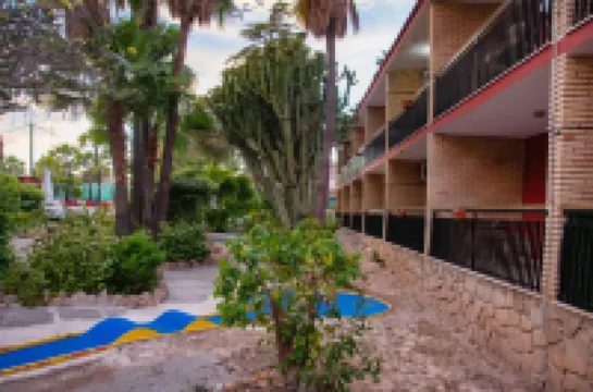 Apartamentos Palasiet