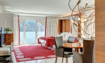 Park Hotel Vitznau