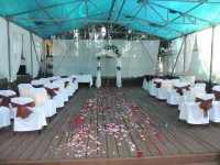 Под Телевышкой Отели в г. Бийск