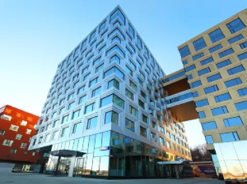 ปัลมีราบิสซิเนสคลับ