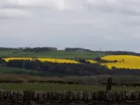 The Anchor Inn Hotels in Healey