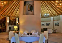 Garden Route Safari Camp - breakfast