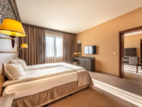 Spa Hotel Dvoretsa Hotels in Velingrad