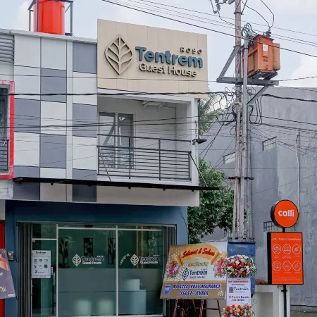 Roso Tentrem by Calli Rooms