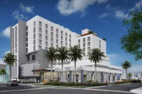 AC Hotel Clearwater Beach Hotels near Encounters With Dolphins