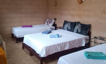 Auberge Restaurant Tissili " Oasis de Fint"
