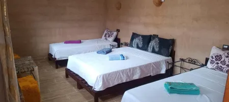 Auberge Restaurant Tissili " Oasis de Fint" Отели в г. Тармигт