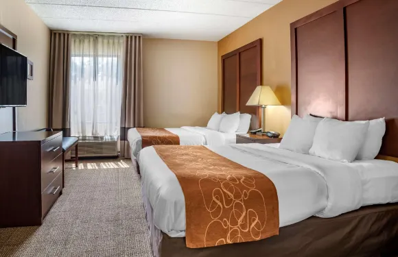 哈黑格斯敦東南的舒適套房酒店