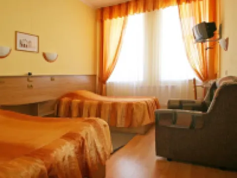 Lion Hotel Hotels in Rostov