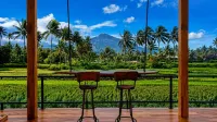 Les Rizieres Lombok