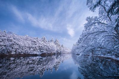 ホテル周辺 軽井沢マリオットホテルの写真