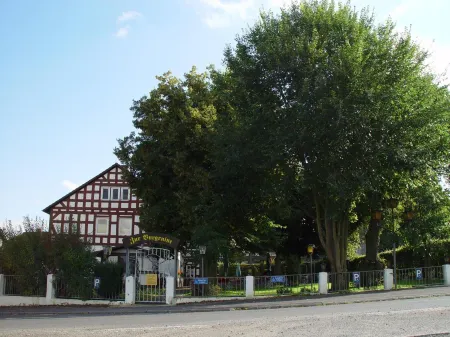 Zur Burgruine Frauenberg