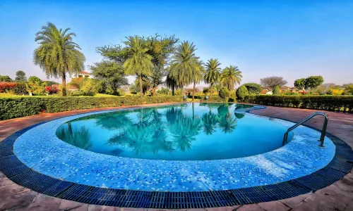 Clarks Safari Pushkar