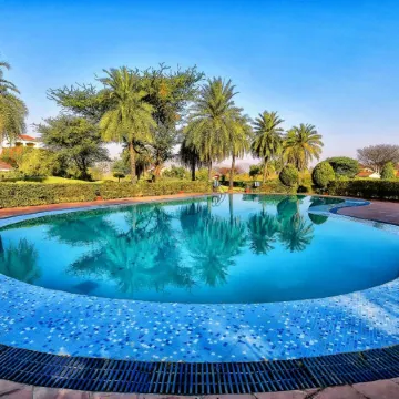 Clarks Safari Pushkar