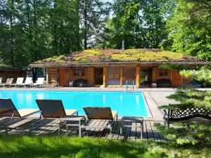 Top 20 Premium Hotels in Saint Petersburg